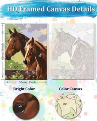 Tocare Framed Paint By Numbers Kit For Adults 12X16Inch Horse Paint By Numbers