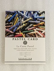 Sennelier La Carte Pastel Card Pads charcoal pencil — 6 Colors Sealed 360g