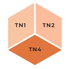 SPECTRUM NOIR – TRI BLEND 3-IN-1 MARKER – TAN BLEND – TN1, TN2, TN4