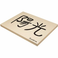 Pacon Tagboard Paper – 18″ X 24″ – Manila (PAC5120)