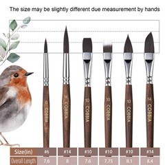 Watercolor Brushes Professional Set Variety Shapes Flat Round Pointed Gouache