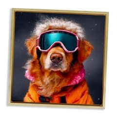 ‘Ski Dog with Goggles’| Floating Frame Canvas Art | | Gray, 17″L x 17″W Grey