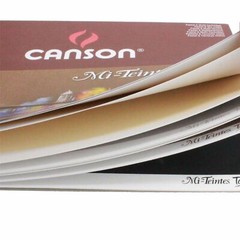 Canson Mi-Teintes Touch Pastel Paper 24cm x 32cm 12 Sheets 6 colours 355gsm pad