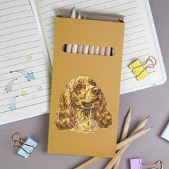 12 x ‘Cocker Spaniel Dog Portrait’ Long Colour Pencils (PE00078101)