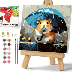 Easy Paint by Numbers Kit for Kids Ages 8-12, Kids Paint by Number with Frame…