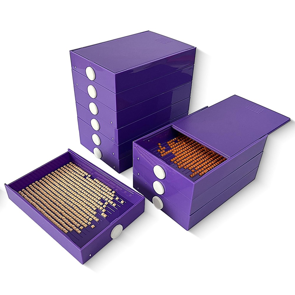 10 Pack Diamond Painting Trays with Lids, 4 x 2.8 Inches, New-purple(10 Pack)