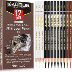 Colored Charcoal Drawing Set 12 Pastel Chalk Pencils for Sketching and Shading