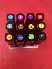 12 ShinHan Art Marker Set Touch Twin Tip Fine & Broad Main Colors