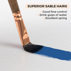 Sable Watercolor Brushes – 6Pcs Professional Paint Brushes for Artist round Tip,