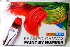 Framed Paint by Numbers Kit for 8*12 Inch, Possoco Colorful Flowers-2030 Sealed”