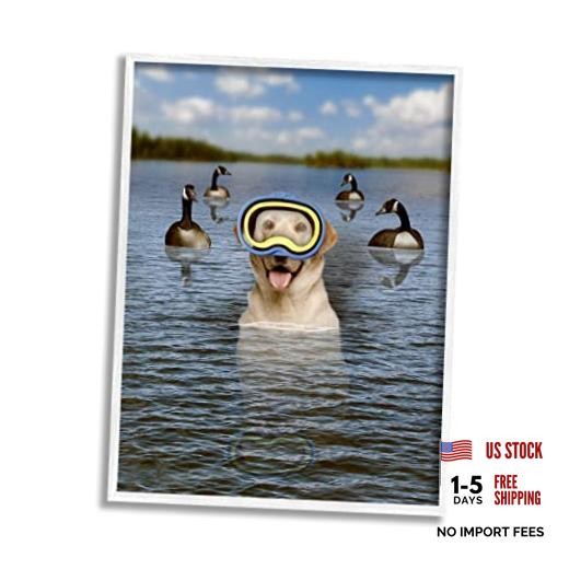 ‘Funny Dog Goggles Swimming Bay’| Framed 20″L x 16″W Coastal White (Textured)