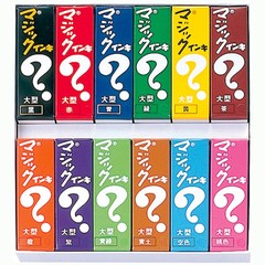 Magic Ink Permanent Pen Large 12color ML-12