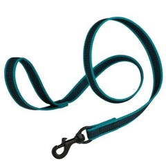Rubber Infused Nylon Leash W3/4″ x L 6′ Teal