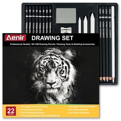 Aenir Charcoal Pencils for Drawing, Set of 22, Pack Black & White