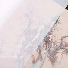 10Pc Ultra-Thin Ripe Xuan Rice Paper Ink Gongbi Painting Copy Calligraphy 云母蝉衣
