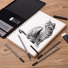 Complete 19-Piece Sketching Set: Graphite Pencils, Erasers & Sharpener Included