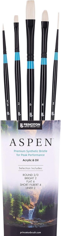 Princeton Aspen 6500 Series Art Paint Brushes 5pc Synthetic Acrylic Oil Gouache