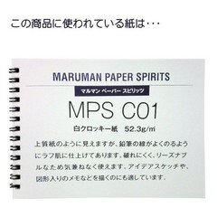 Maruman Premium Quality Drawing Pad and Book (SL-01)