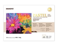 Professional Pastel Paper Pad 160 Gsm Acid Free A3 A4 Premium Quality 20 30 S…