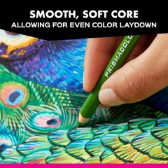 Premier Soft Core 48 Colored Pencils – Smooth Color Laydown for Professionals