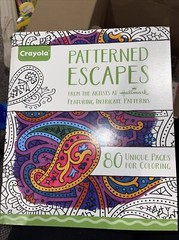 Crayola “Patterned Escapes” Adult Coloring Book ~ NEW