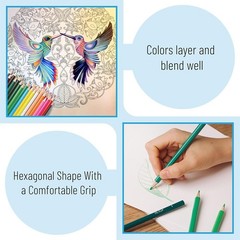 Long-Lasting 36-Count Colored Pencils for Drawing & Sketching – Fade Resistant
