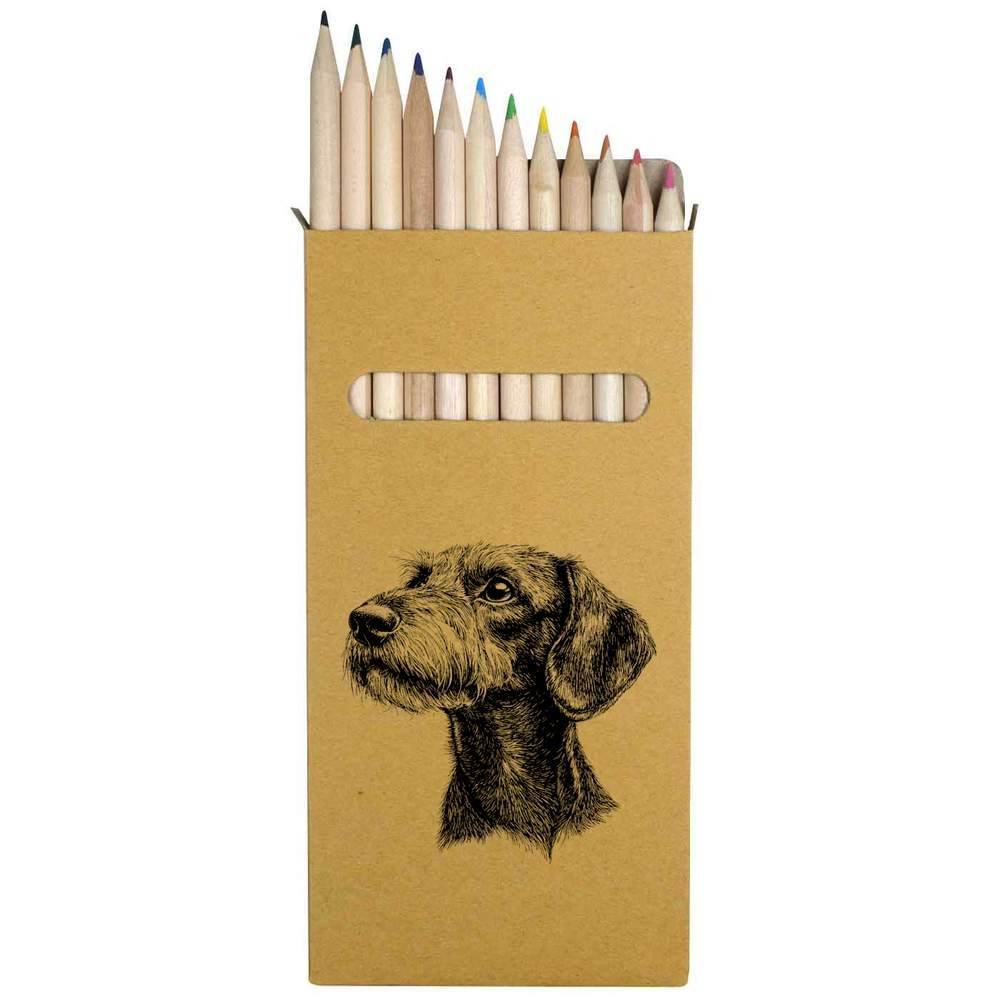 12 x ‘Standard Wire-haired Dachshund’ Long Colour Pencils (PE00072953)