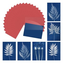 Cyanotype Paper,24 Sheet Sun Print Paper Red Crafts with Board, 5.8×8.3″