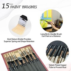 Natural Bristle Professional Paintbrush Set, 15PCS Long Handled Paint Brushes fo