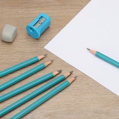 HB Drawing Pencils, 24PCS, Hexagonal , Black Refill, Green/Black Pole