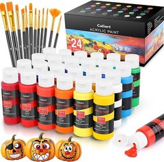 Acrylic Paint Set 24 Colors 12 Brushes for Canvas Crafts DIY Art Projects