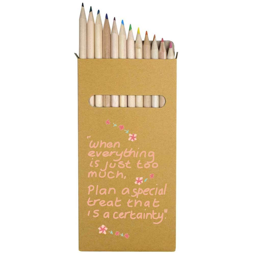 12 x ‘When Everything Is Just Too Much ‘ Long Colour Pencils (PE00083985)