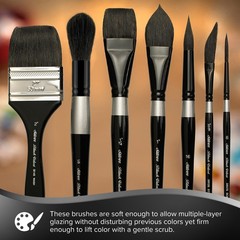 WC-3208S Black Velvet Variety Set, Professional Premium Artist Paintbrushes f…