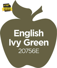 Acrylic Paint, English Ivy (Pack of 3) 2 Oz, 20756EA- (Pack of 3) ⭐️⭐️⭐️⭐️⭐️
