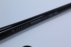 Awesome brand new Princeton Brush Aspen Brush, Round, 8