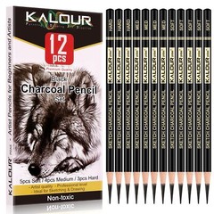 Professional Charcoal Pencils Drawing Set -12 Pieces Soft, Medium and Hard