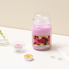 COCODOR Unscented Tealight Candles / 100 Pack 100P, White(unscented)