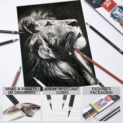 MARKART Charcoal Pencils for Drawing, 10 Pack 10 Count (Pack of 1), White