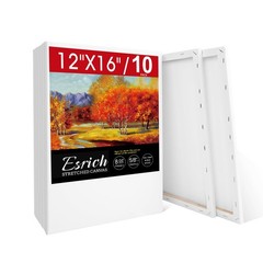 ESRICH Stretched Canvas for Painting 12×16 Inch, 10 12x16in-10Pack, White