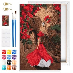 Red Dress Women Paint by Numbers Kits with Frame for Adults Beginners, DIY La…