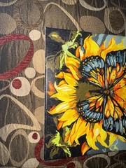 Completed Paint by Numbers Canvas Butterfly Square 10×10 Framed Canvas
