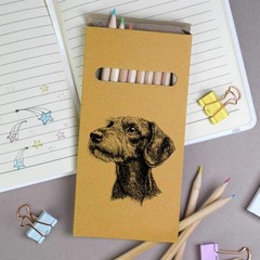 12 x ‘Standard Wire-haired Dachshund’ Long Colour Pencils (PE00072953)