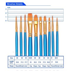 Paint Brush Sets, 10 Pack 100 Pcs Pointed-Round Tip Paintbrushes Nylon Hair A…