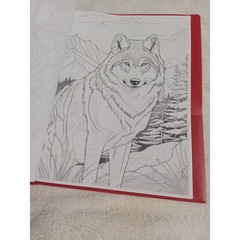 Christmas Holiday Coloring Book Art Therapy Stress Relief Portfolio Ornaments