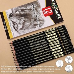 Professional Charcoal Pencils Drawing Set -12 Pieces Soft Medium and Hard Ch…