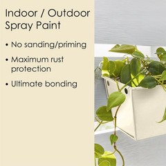 Krylon K02706007 Dover White Fusion All-in-One Spray Paint 12 oz. (Pack of 6)