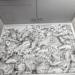 Kerby Rosanes Animorphia Postcards 20 Cards to Colour Art Book Animals