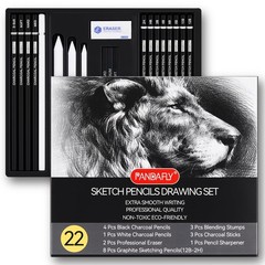Drawing Sketching Pencil Set, 22 Piece Art Pencil Kit – Graphite Pencils (12B…
