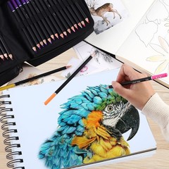 122 Colored Pencils Kit,Oil Based Soft Core, Professional Color Drawing Set w…