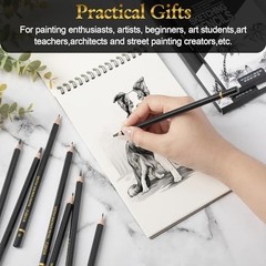 360 Pcs Professional Drawing Sketching Pencil Set – Graphite & Charcoal for Arti